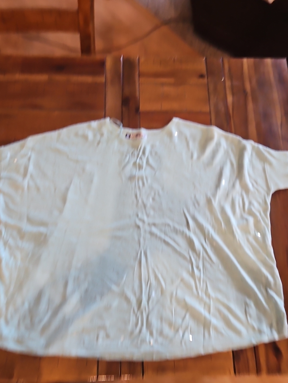 Women's Light Mint Green Sequin Accent Top